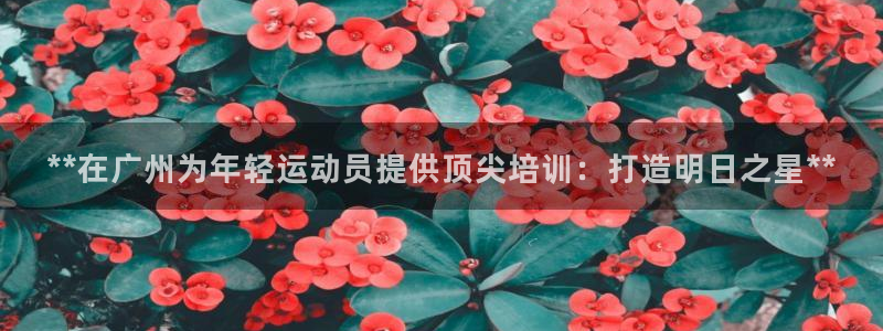 焦点娱乐平台注册账号怎么注销掉：**在广州为年轻运动