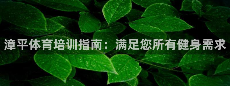 焦点娱乐官网下载安装最新版手机：漳平体育培训指南：满