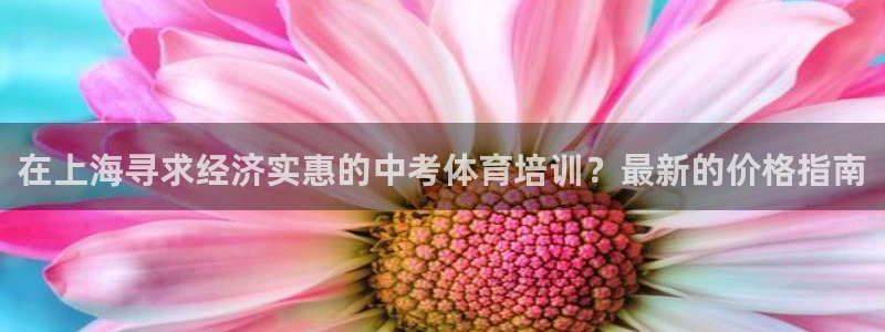 焦点娱乐平台注册账号是什么：在上海寻求经济实惠的中考体育培训