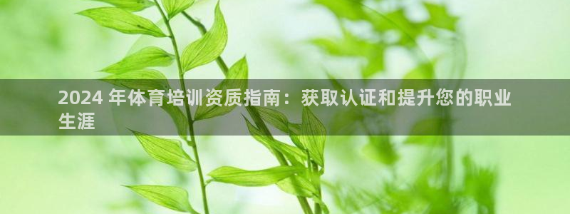 焦点娱乐拉菲11