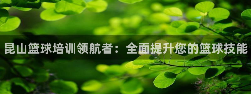 焦点娱乐平台玩法官方导师：昆山篮球培训领航者：全面提